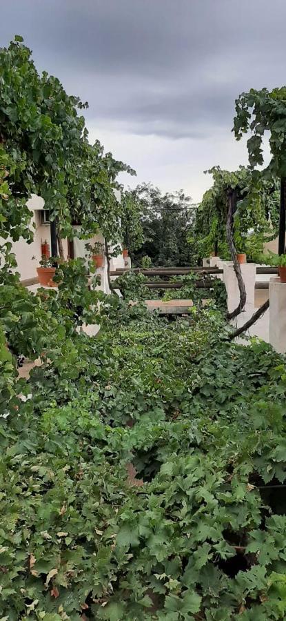 Cabanas Yamasu Huasi カファヤテ エクステリア 写真